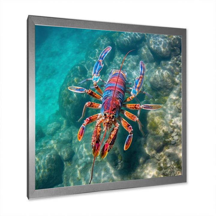 Purple Majestic Lobster Turquoise Tropical Water - Marine Animals Wall Art Prints