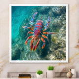 Purple Majestic Lobster Turquoise Tropical Water - Marine Animals Wall Art Prints