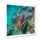 Purple Majestic Lobster Turquoise Tropical Water - Marine Animals Wall Art Prints