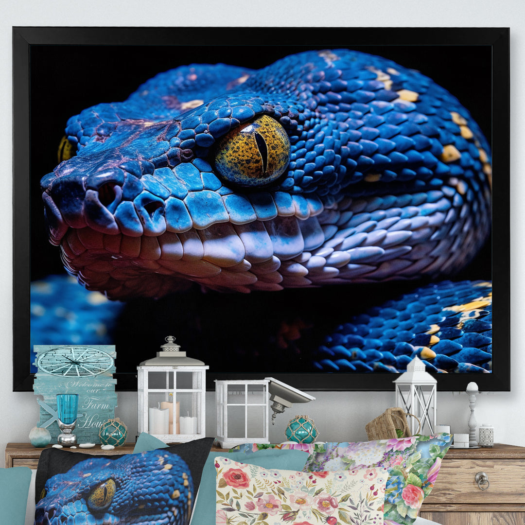 Blue Anaconda Snake Wildlife Photography - Blue Snake Wall Art