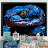 Blue Anaconda Snake Wildlife Photography - Blue Snake Wall Art