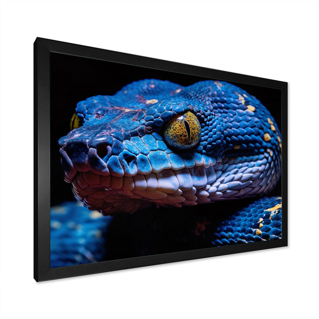 Blue Anaconda Snake Wildlife Photography - Blue Snake Wall Art