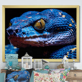 Blue Anaconda Snake Wildlife Photography - Blue Snake Wall Art