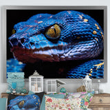 Blue Anaconda Snake Wildlife Photography - Blue Snake Wall Art