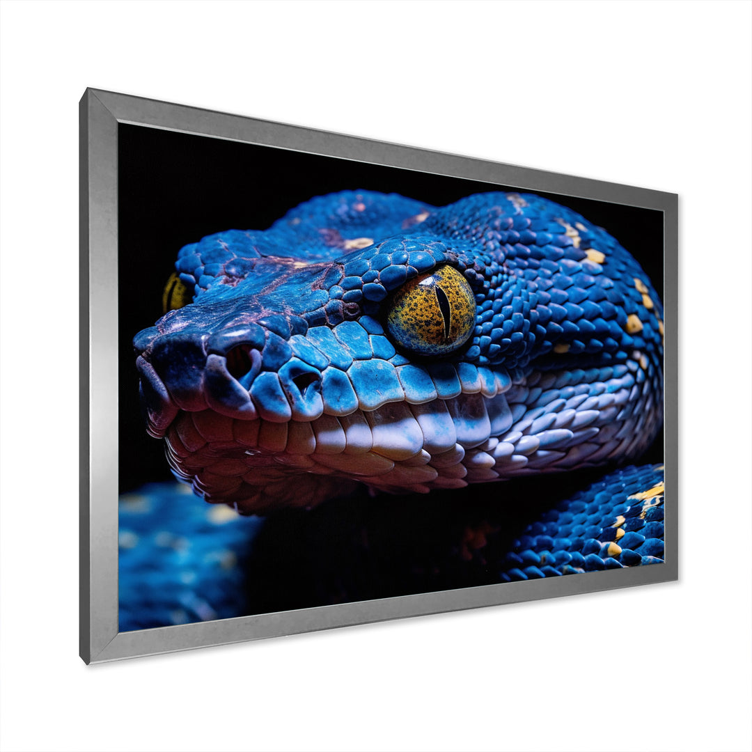 Blue Anaconda Snake Wildlife Photography - Blue Snake Wall Art