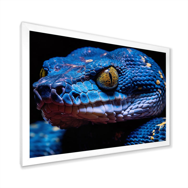 Blue Anaconda Snake Wildlife Photography - Blue Snake Wall Art