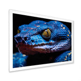 Blue Anaconda Snake Wildlife Photography - Blue Snake Wall Art