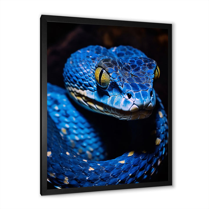 Portrait Of Blue Viper Snake Wildlife - Snake Large Canvas Wall Art