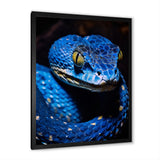 Portrait Of Blue Viper Snake Wildlife - Snake Large Canvas Wall Art