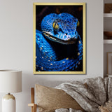 Portrait Of Blue Viper Snake Wildlife - Snake Large Canvas Wall Art