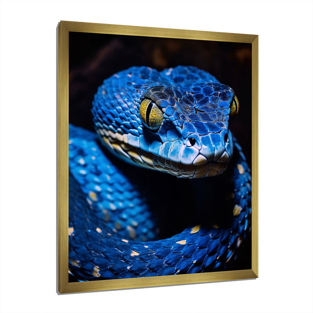Portrait Of Blue Viper Snake Wildlife - Snake Large Canvas Wall Art