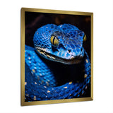 Portrait Of Blue Viper Snake Wildlife - Snake Large Canvas Wall Art
