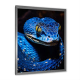 Portrait Of Blue Viper Snake Wildlife - Snake Large Canvas Wall Art