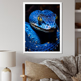 Portrait Of Blue Viper Snake Wildlife - Snake Large Canvas Wall Art