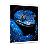 Portrait Of Blue Viper Snake Wildlife - Snake Large Canvas Wall Art