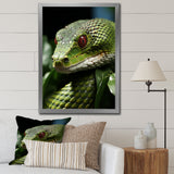 Portrait Of Green Snake Wildlife Photography - Snake Living Room Wall Art