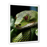 Portrait Of Green Snake Wildlife Photography - Snake Living Room Wall Art