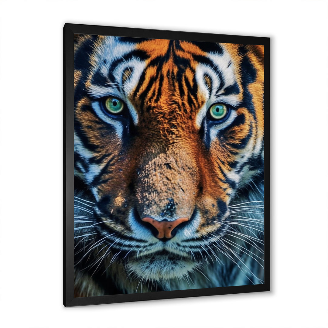 Portrait Of A Wild Tiger Nature Photography - Tiger Canvas Wall Art