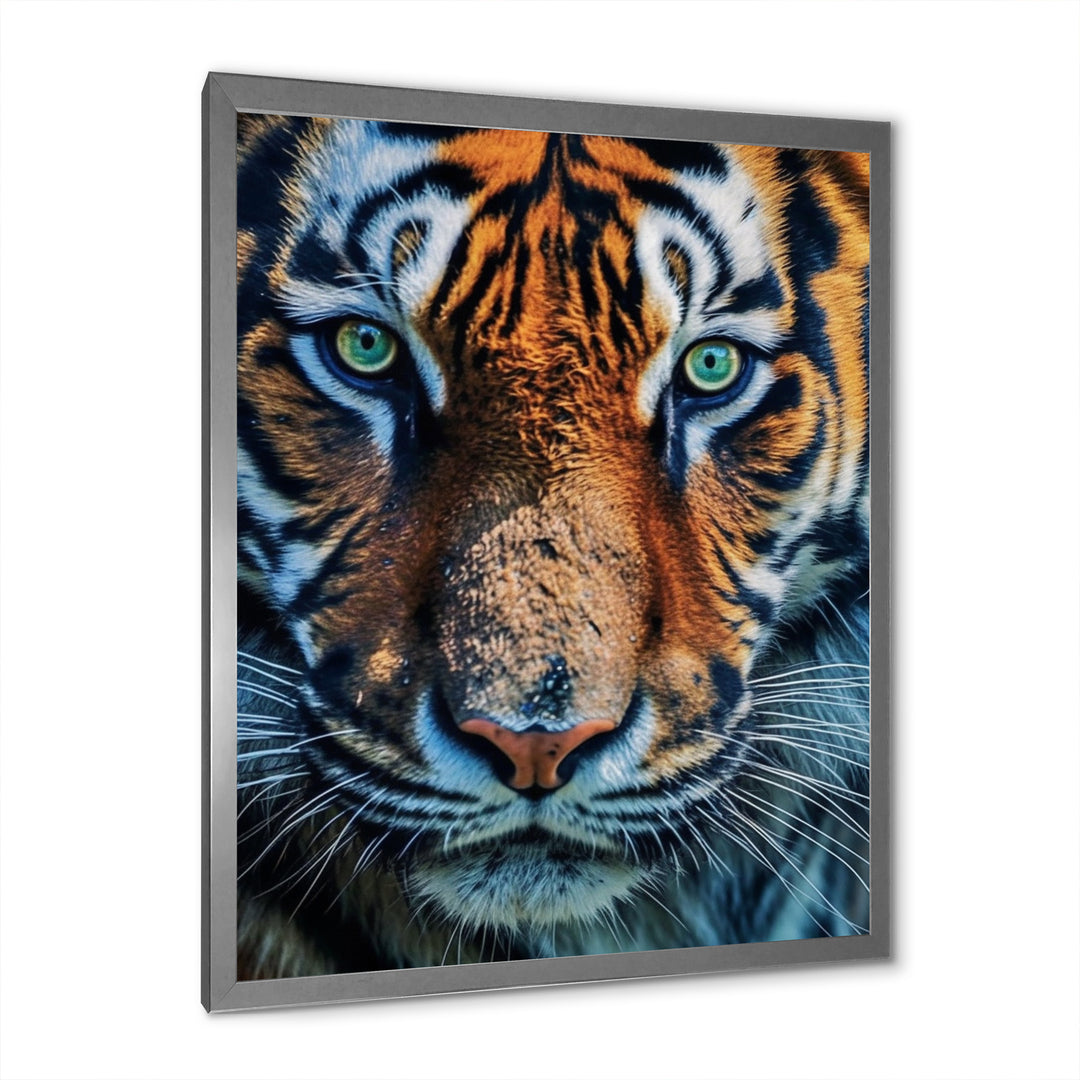 Portrait Of A Wild Tiger Nature Photography - Tiger Canvas Wall Art