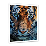 Portrait Of A Wild Tiger Nature Photography - Tiger Canvas Wall Art