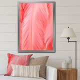 Boho Glam Pink Feather Elegance - Feathers Bedroom Wall Art