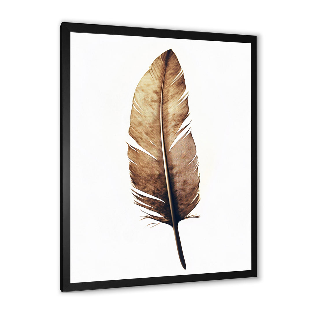 Brown Boho Feather On White Watercolor - Feathers Canvas Wall Art