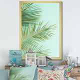 Tropical Palms Leaves Illustration - Feathers Wall Decor