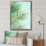 Tropical Palms Leaves Illustration - Feathers Wall Decor
