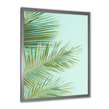 Tropical Palms Leaves Illustration - Feathers Wall Decor