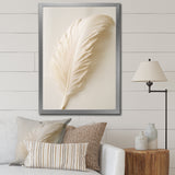 Delicate White Boho Feather - Feathers Wall Decor