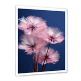 Delicate Pink Dandelion Flowers On Blue Sky - Feathers Wall Art Prints