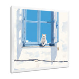 White Cat Sitting By The Window Blue Sky Greece - Cat Wall Art Prints