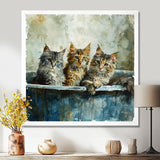 Three Cute Kitten In A Bathtub - Cat Bathroom Large Canvas Wall Art