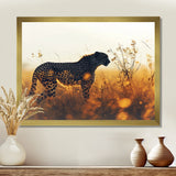 Majestic Cheetah On The Sunset Prairie - Cheetah Home Decor Art