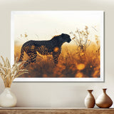 Majestic Cheetah On The Sunset Prairie - Cheetah Home Decor Art