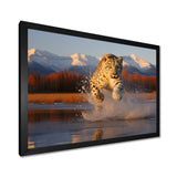 Cougar Running In The Mountain River - Cheetah Bedroom Wall Art