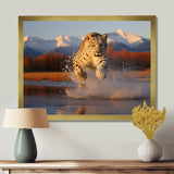 Cougar Running In The Mountain River - Cheetah Bedroom Wall Art