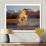 Cougar Running In The Mountain River - Cheetah Bedroom Wall Art