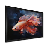 Vibrant Red Betta Fish Majestic Tail - Orange Fish Wall Art