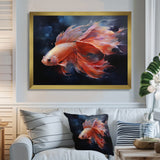 Vibrant Red Betta Fish Majestic Tail - Orange Fish Wall Art