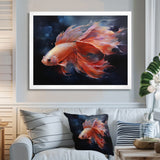 Vibrant Red Betta Fish Majestic Tail - Orange Fish Wall Art