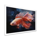 Vibrant Red Betta Fish Majestic Tail - Orange Fish Wall Art