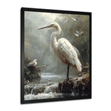 White Heron Looking For River Pray - Heron Framed Canvas Art