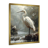 White Heron Looking For River Pray - Heron Framed Canvas Art