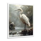 White Heron Looking For River Pray - Heron Framed Canvas Art