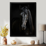Portrait Of A Gracious Black Horse - Black Horse Wall Art