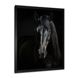 Portrait Of A Gracious Black Horse - Black Horse Wall Art