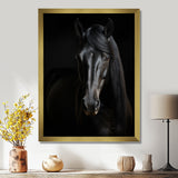 Portrait Of A Gracious Black Horse - Black Horse Wall Art