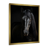 Portrait Of A Gracious Black Horse - Black Horse Wall Art