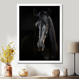 Portrait Of A Gracious Black Horse - Black Horse Wall Art